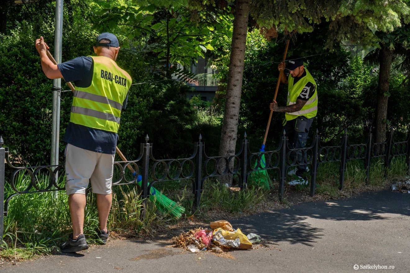 Bő két hetes szünet után újra takarítanak a köztereken &bullet;  Fotó: Haáz Vince