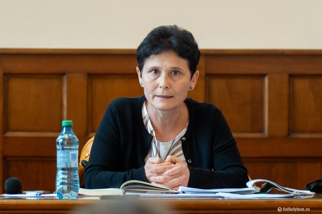 A Maros megyei környezetvédelmi ügynökség vezetője, Cristina Pui szerint megépülhet a Maros-híd &bullet;  Fotó: Haáz Vince