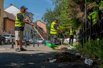 Zöld utat kapott a saját szemétszolgáltató és az első iskolatáska program Marosvásárhelyen