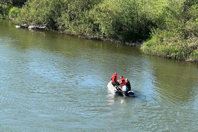 Csónakkal mentették ki a folyó közepén rekedt kutyát a tűzoltók