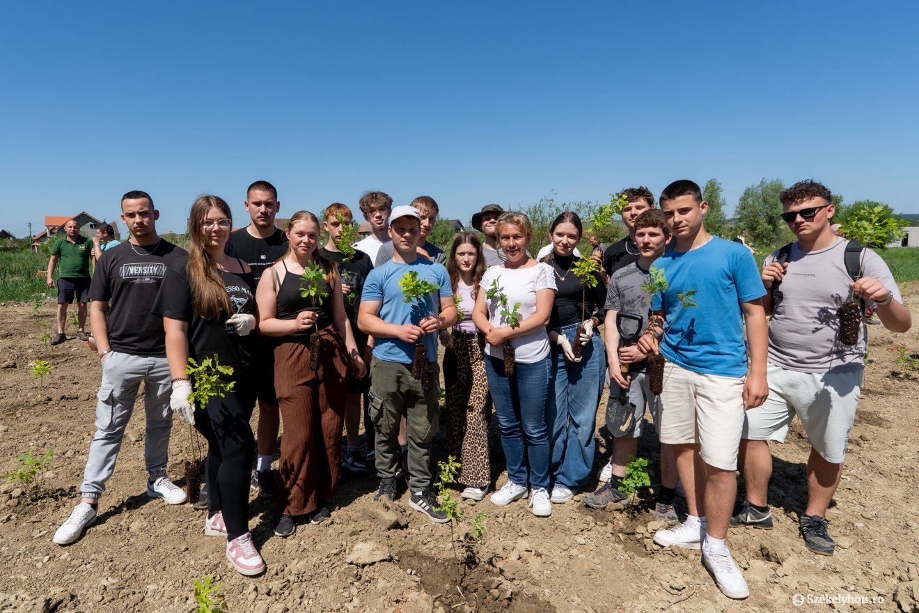 A tizenegyedikes diákokat osztályfőnökük hozta a faültetésre &bullet;  Fotó: Haáz Vince