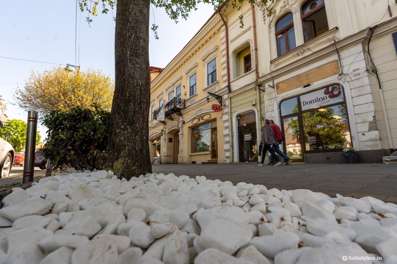 Görög szigetről hozták a diszköveket &bullet;  Fotó: Haáz Vince