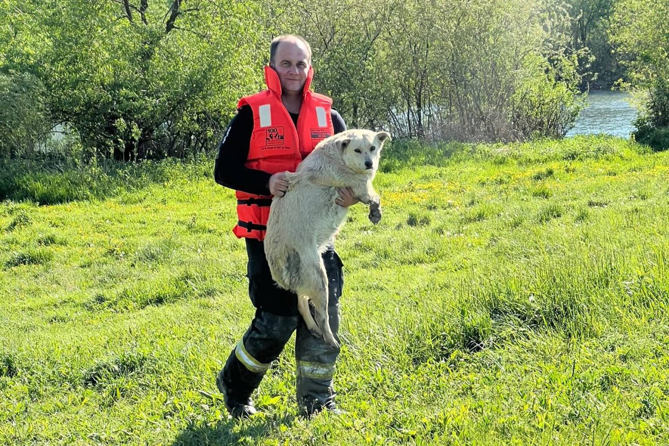 &bullet;  Fotó: Maros megyei tűzoltóság