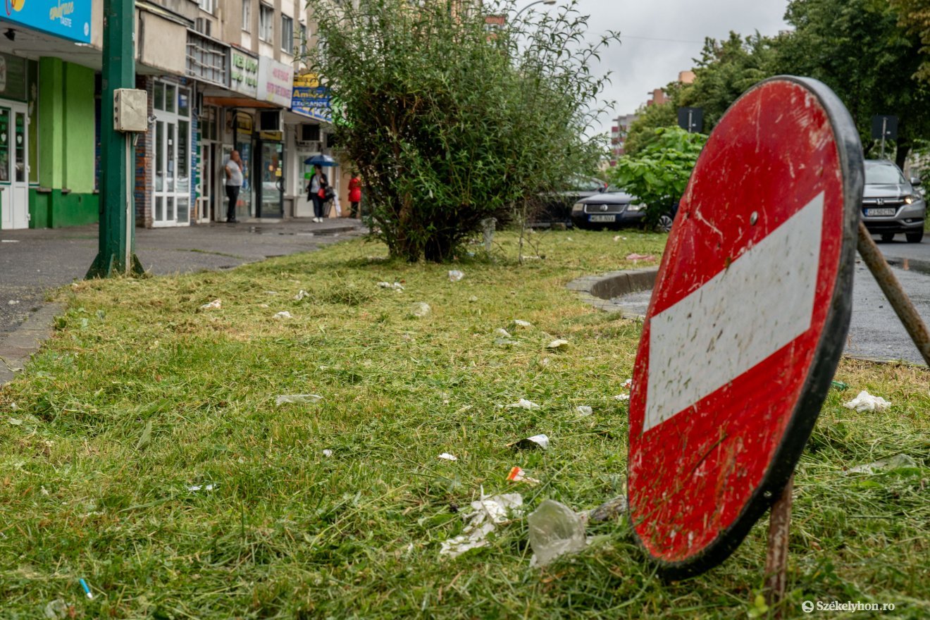 Az erős szél szétszórta a kukákból a hulladékot &bullet;  Fotó: Haáz Vince