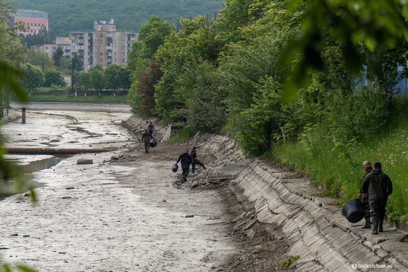 Hétfő reggel elkezdték a halak kimenekítését a csónakázóból &bullet;  Fotó: Haáz Vince