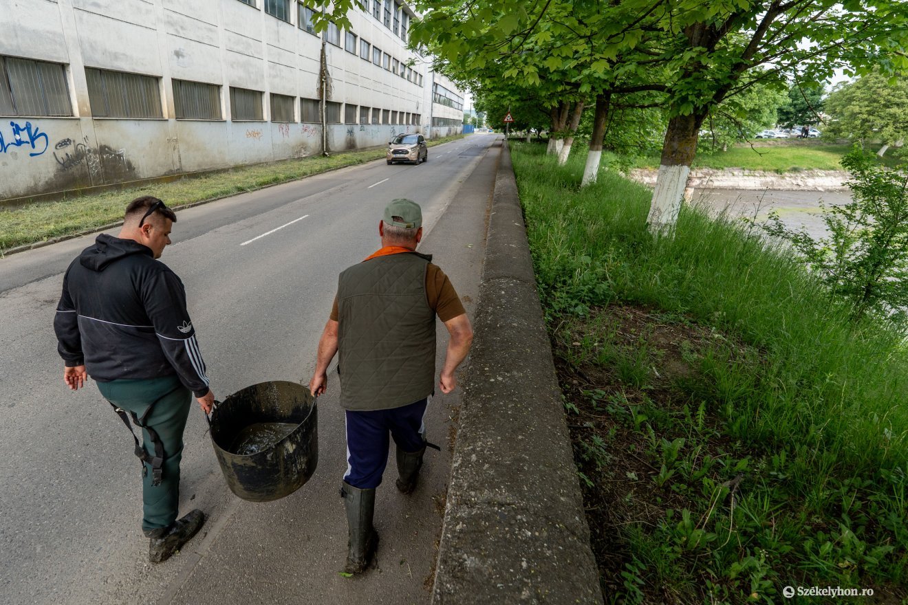 Vízzel teli vödrökkel hordják át a Marosba a csónakázó halait &bullet;  Fotó: Haáz Vince