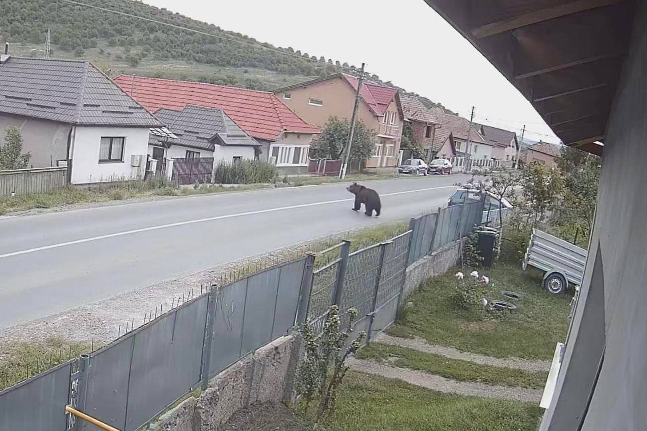 • Fotó: Bodó Előd Barna/Facebook