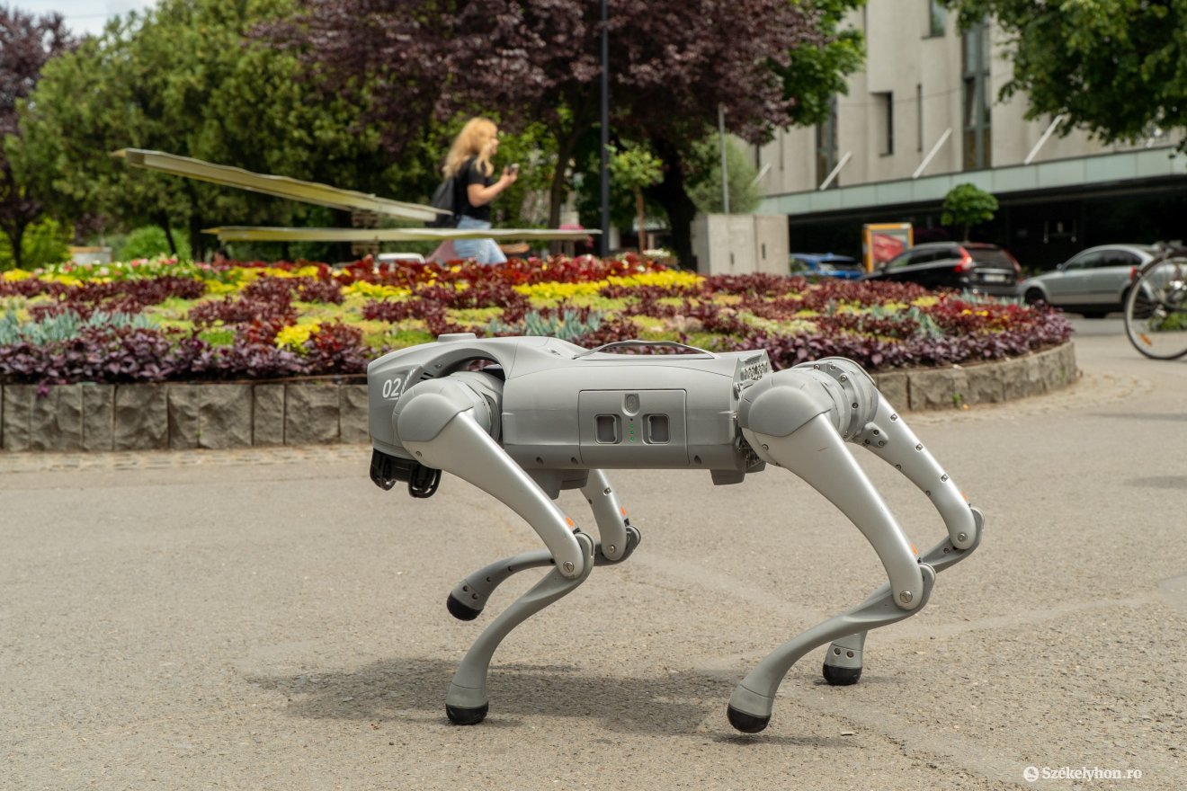 A robotkutya számos olyan viselkedésformát képes utánozni, amelyek egy valódi négylábúra jellemzők &bullet;  Fotó: Haáz Vince