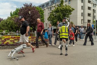 Üdvözöl a jövő? Humanoid robot és robotkutya lép kapcsolatba az emberekkel Marosvásárhelyen