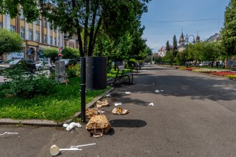 Lejárt a szerződés s még nincs új, ezért önkéntesek ürítik az utcai kukákat Marosvásárhelyen