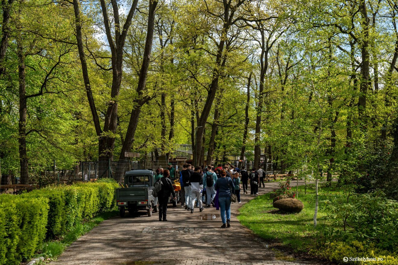 &bullet;  Fotó: Haáz Vince