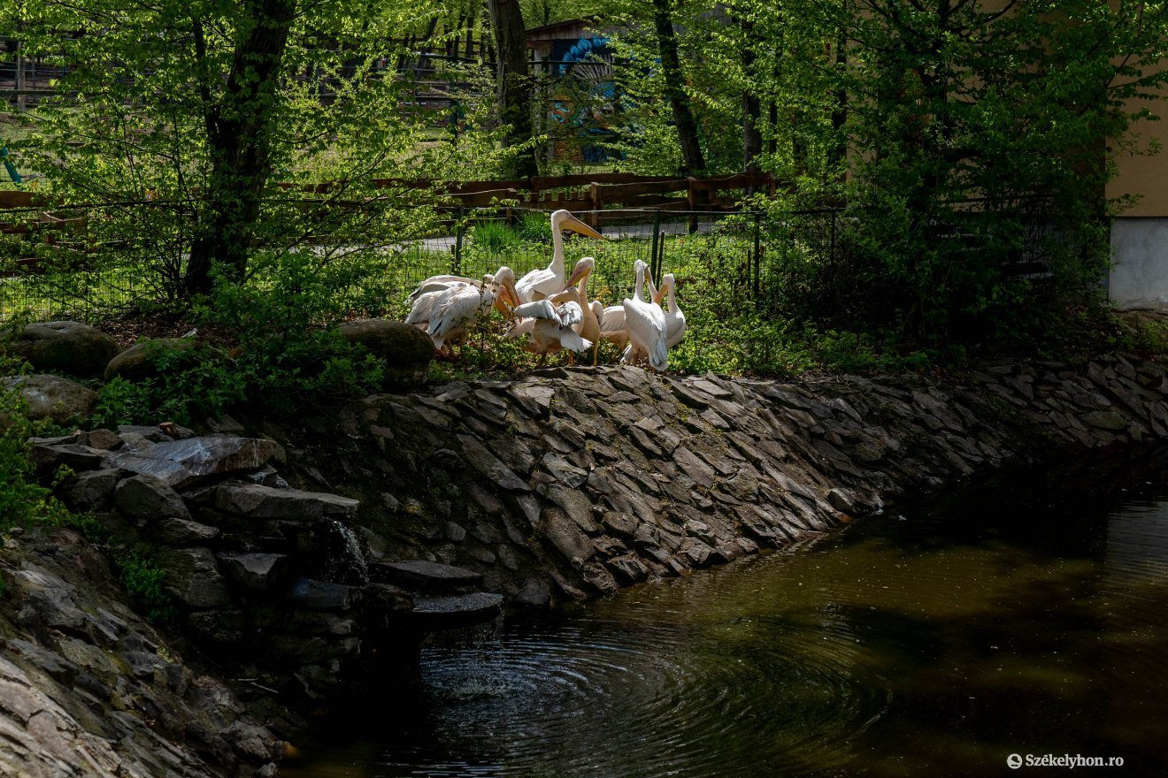 &bullet;  Fotó: Haáz Vince