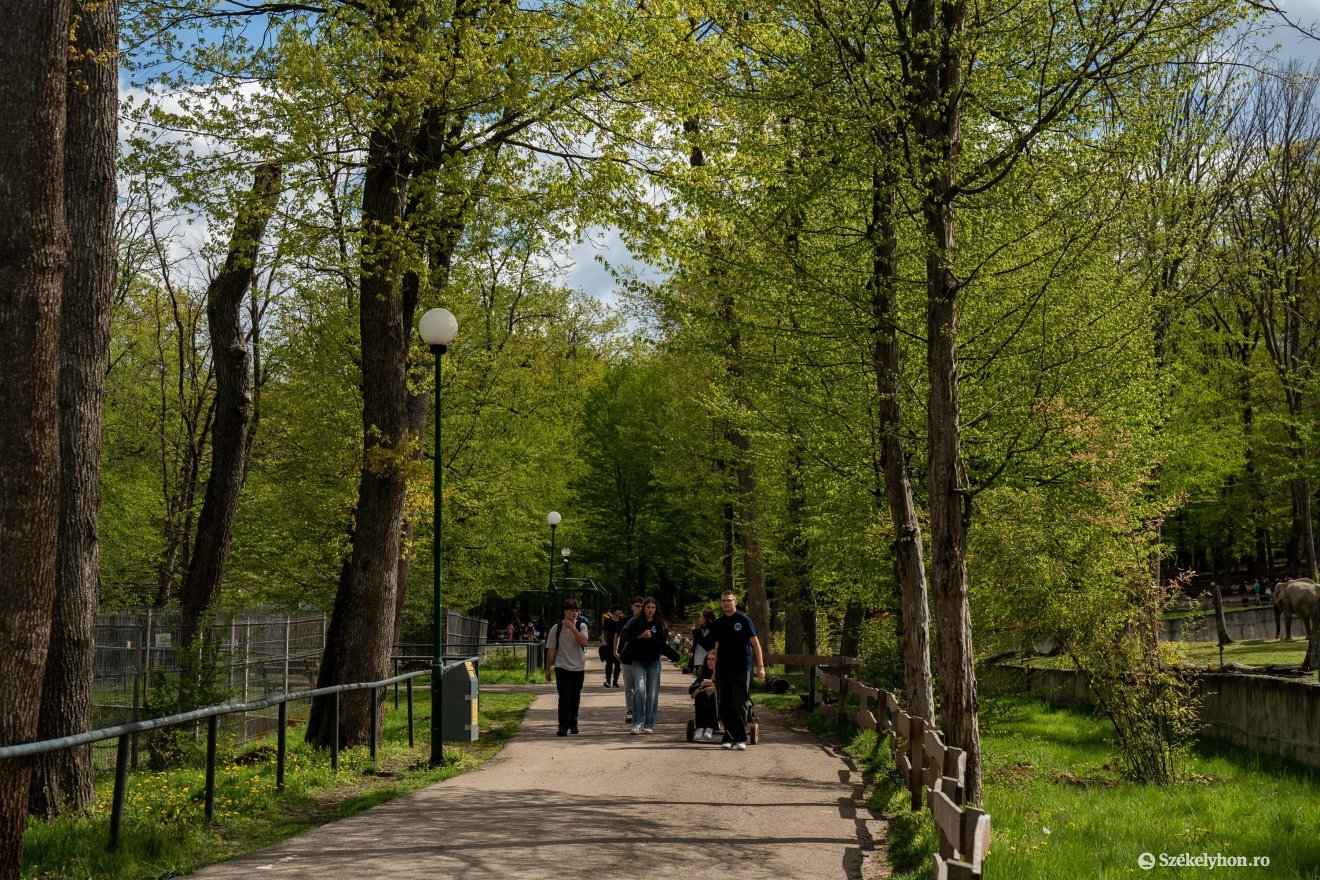 &bullet;  Fotó: Haáz Vince