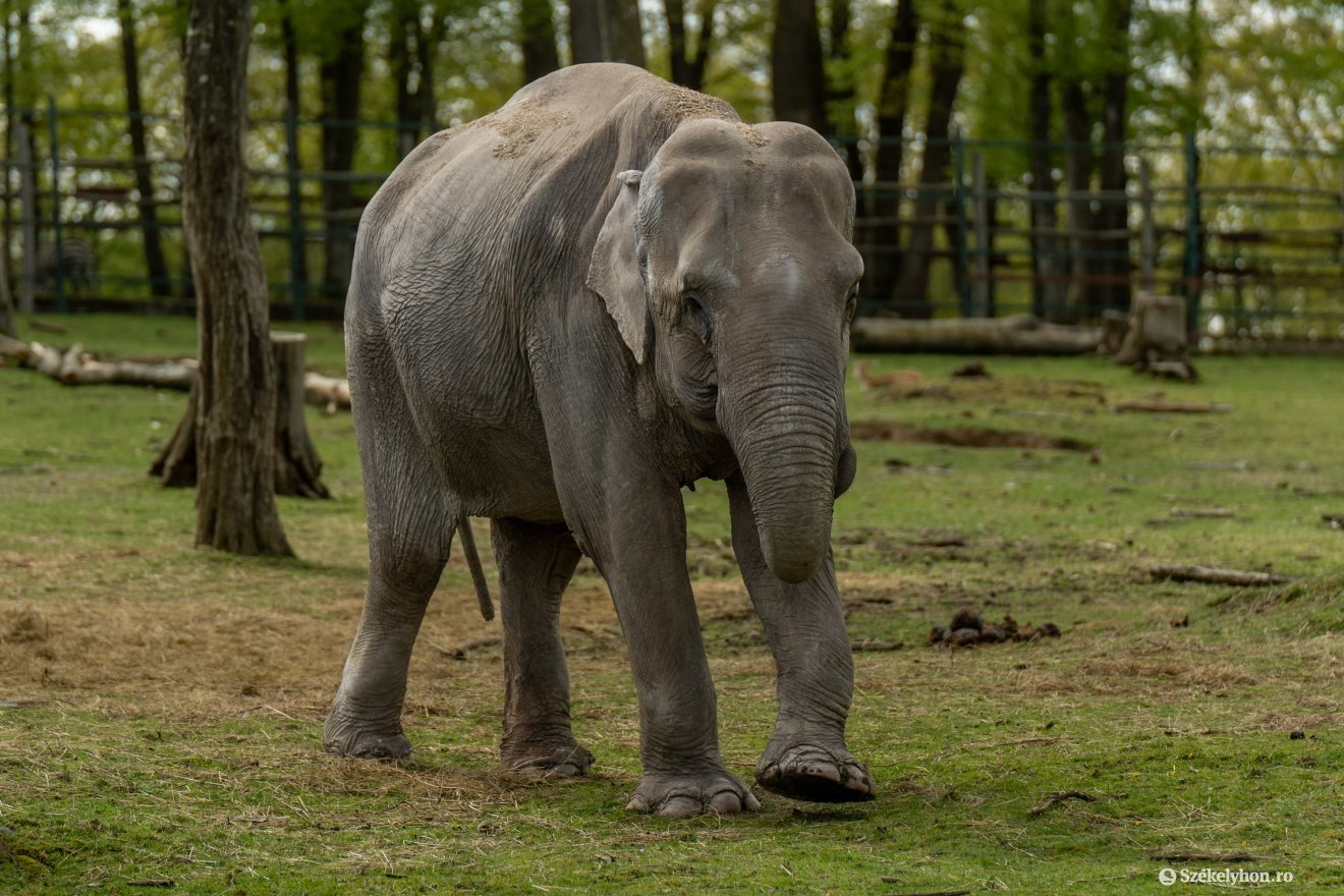 &bullet;  Fotó: Haáz Vince
