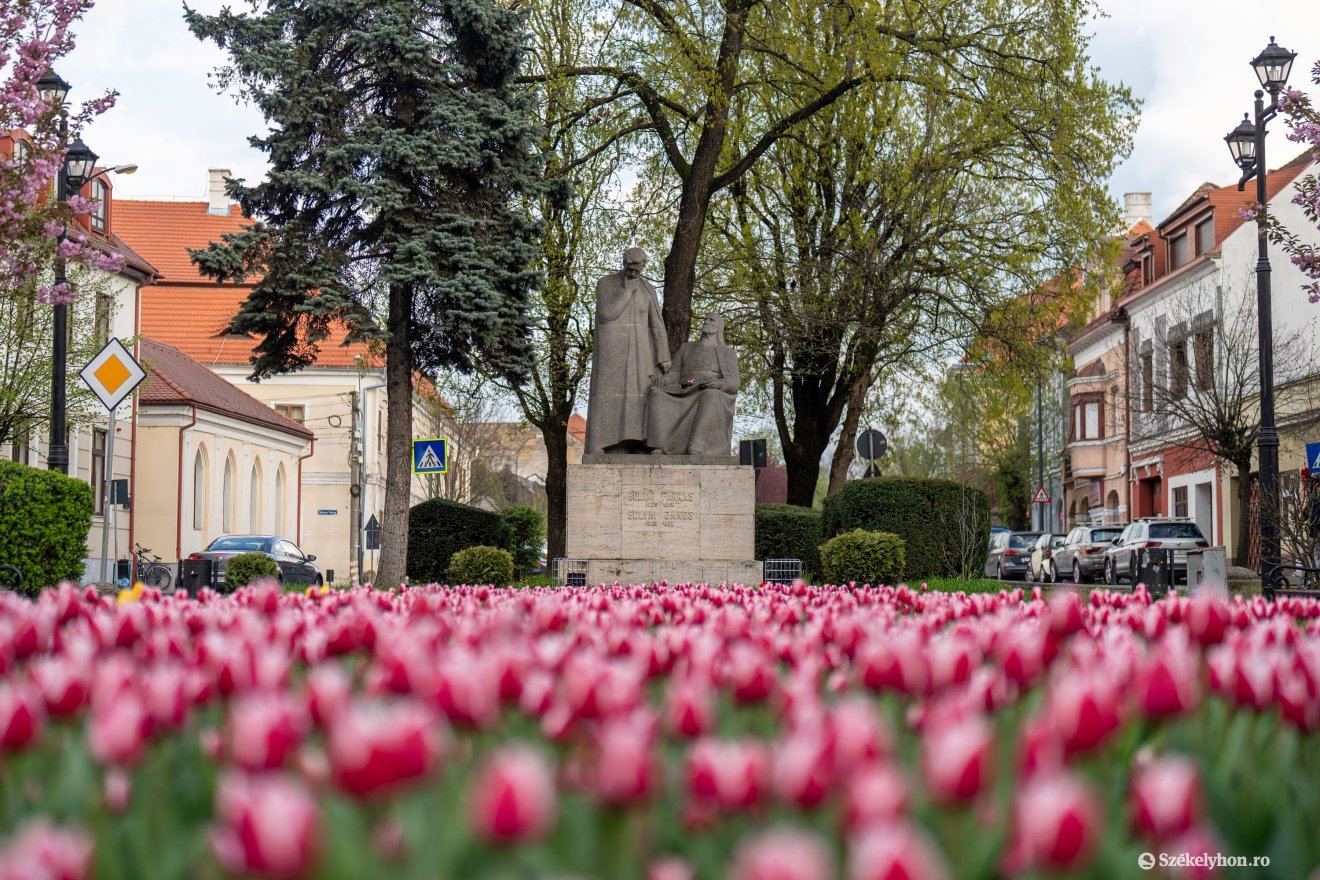 A Bolyai-szobor is megújul &bullet;  Fotó: Haáz Vince