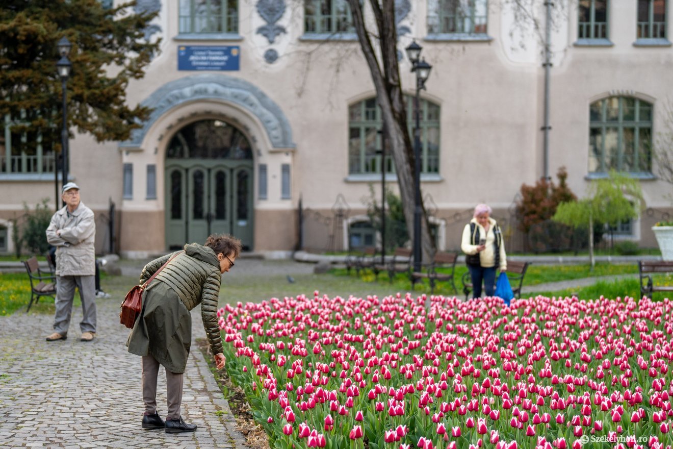 &bullet;  Fotó: Haáz Vince