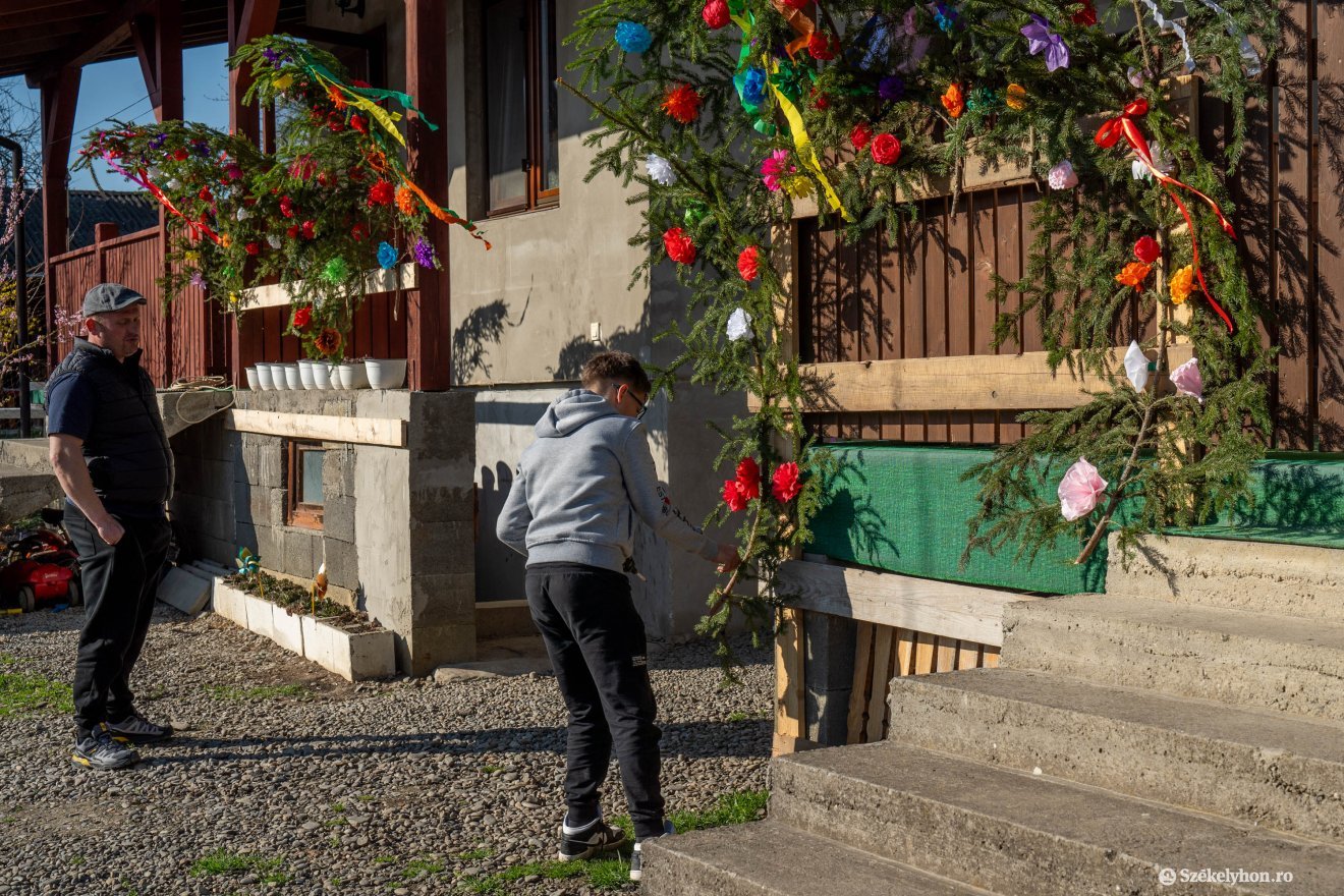 Felügyelet alatt kerül a helyére a díszített fenyőág &bullet;  Fotó: Haáz Vince