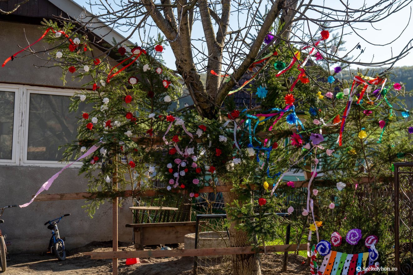 &bullet;  Fotó: Haáz Vince