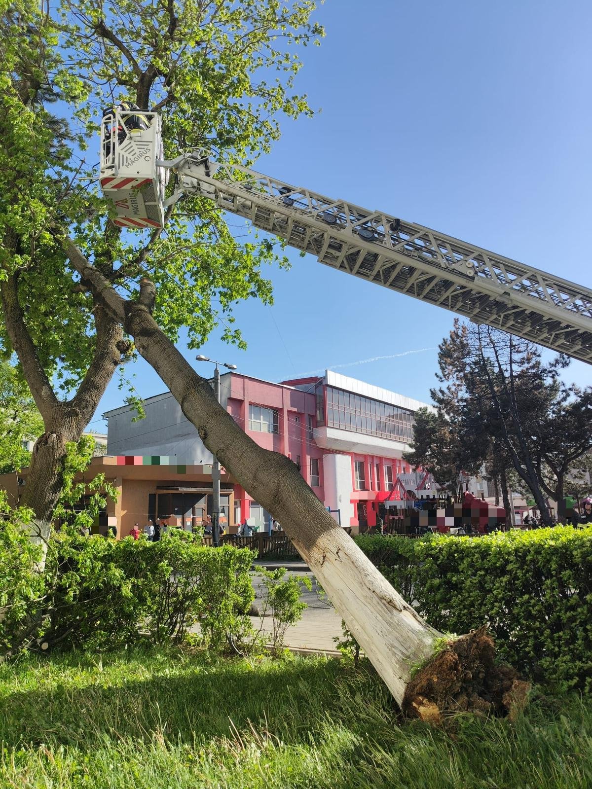 A Dózsa György utcában sem kímélte a fát az erős szél &bullet;  Fotó: Maros megyei tűzoltóság