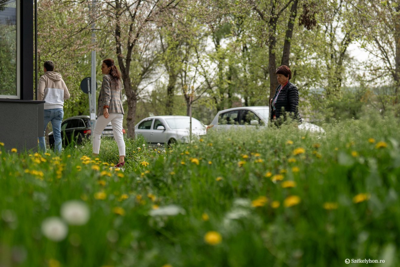 &bullet;  Fotó: Haáz Vince