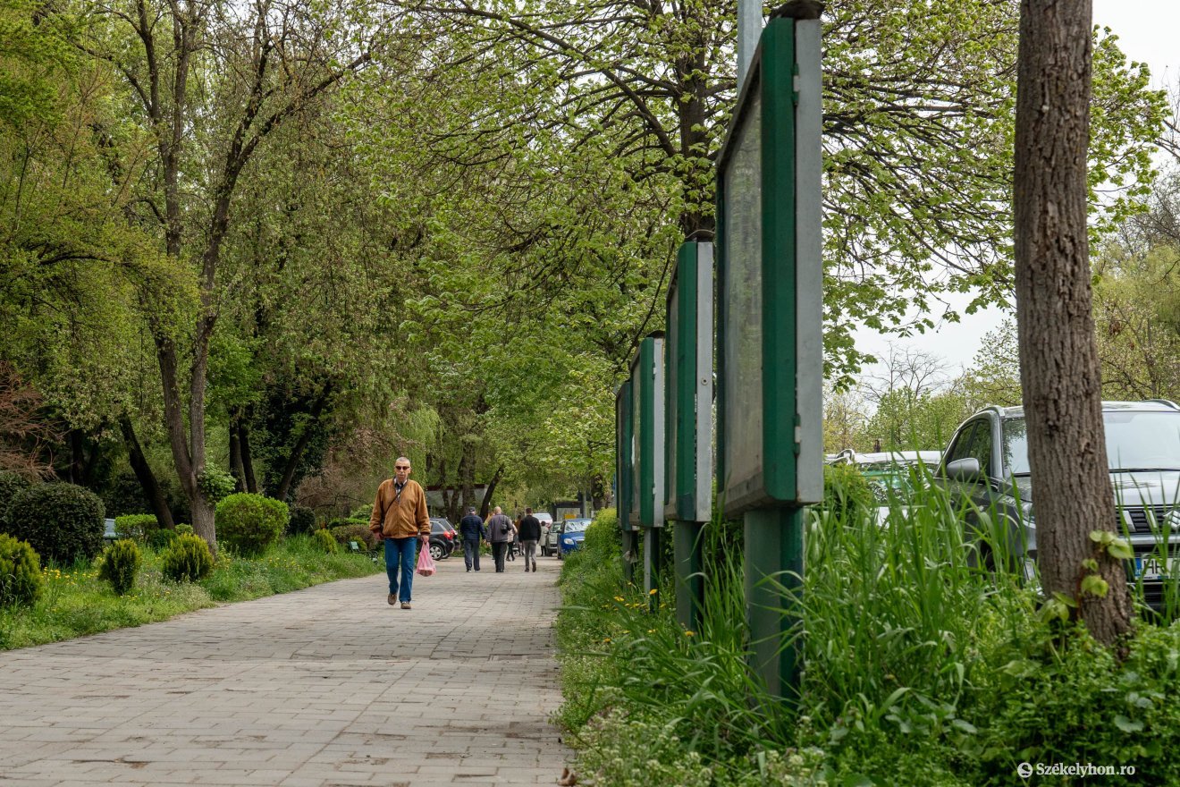 &bullet;  Fotó: Haáz Vince