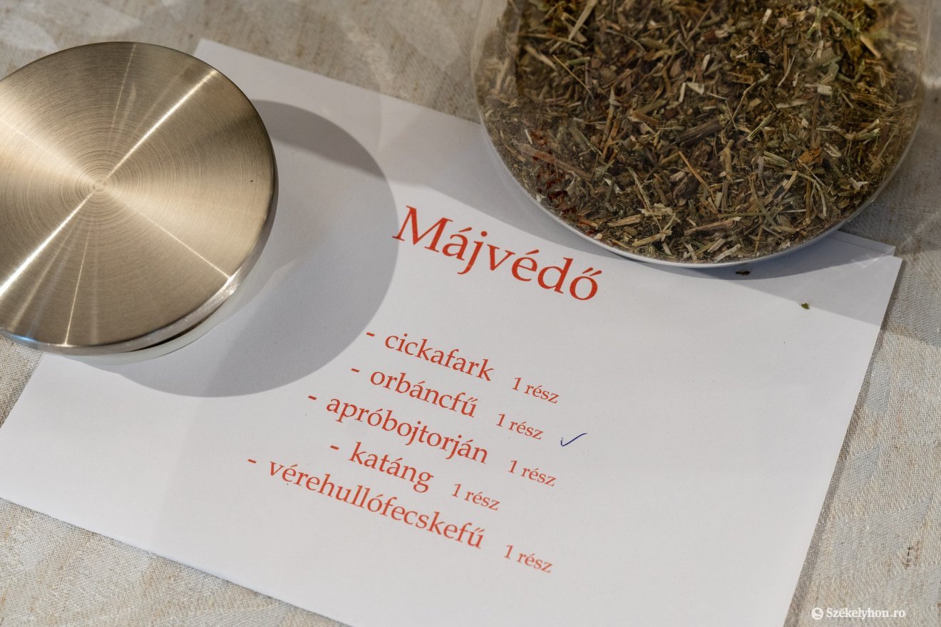 A könyvbemutatót teázás követte &bullet;  Fotó: Haáz Vince