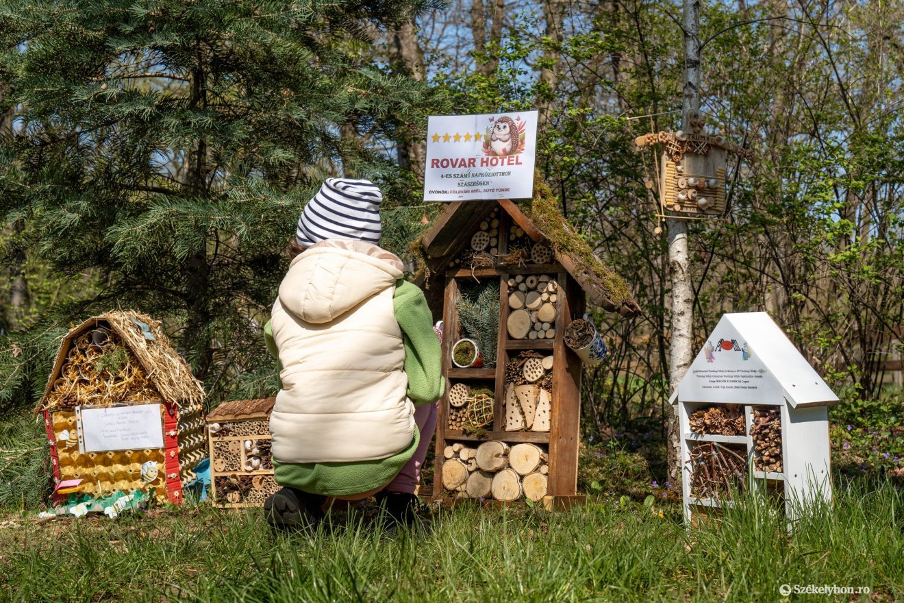 Idén 11 rovarhotel érkezett a kiállításra, ami a marosvásárhelyi állatkertben tekinthető meg &bullet;  Fotó: Haáz Vince