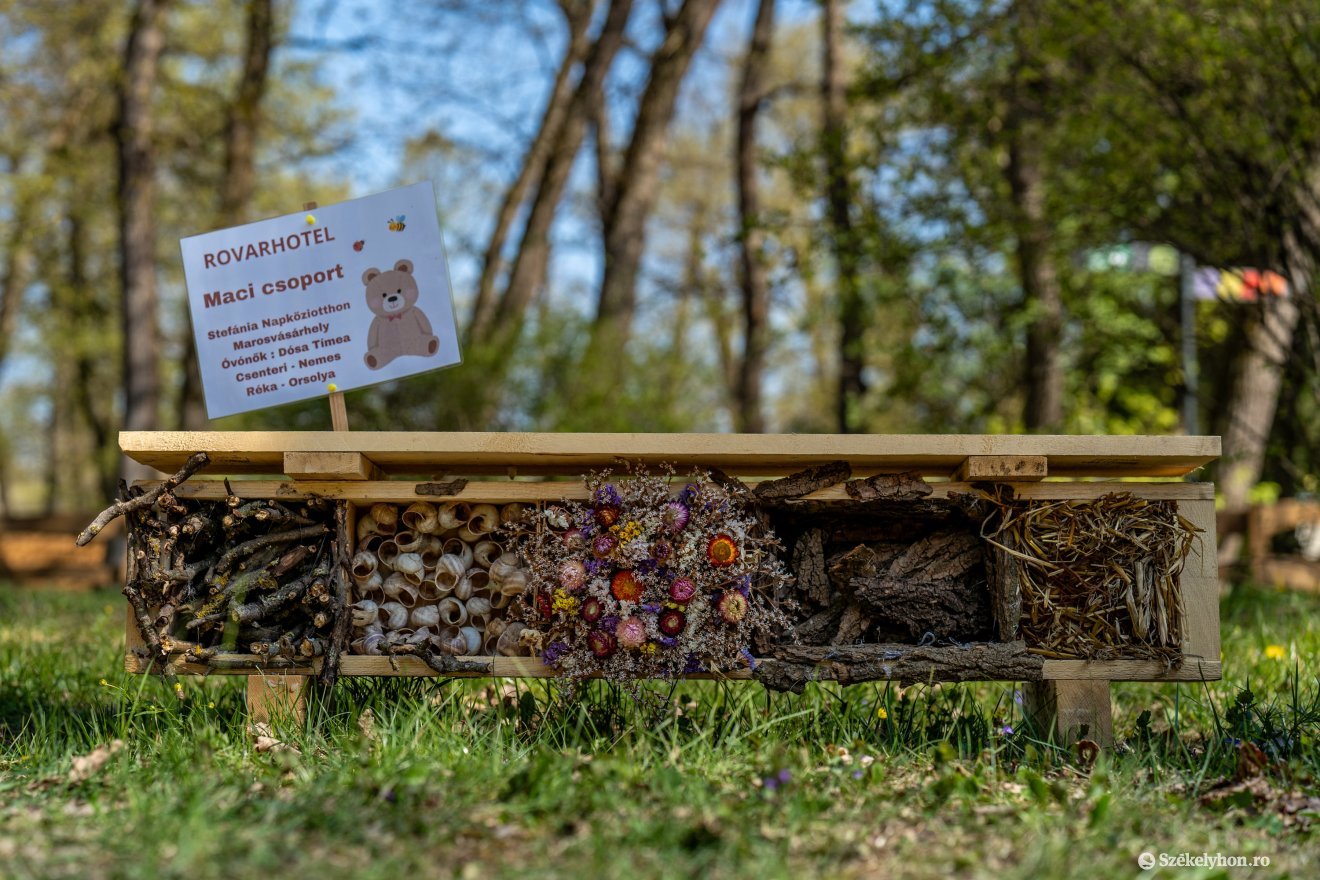 &bullet;  Fotó: Haáz Vince