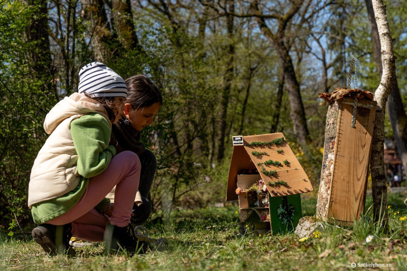 &bullet;  Fotó: Haáz Vince