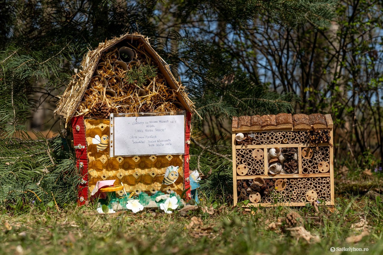 &bullet;  Fotó: Haáz Vince