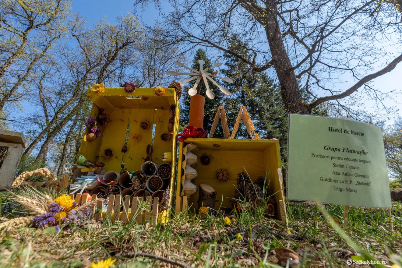 &bullet;  Fotó: Haáz Vince