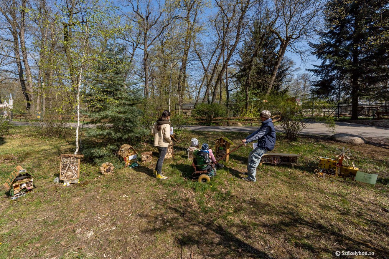 &bullet;  Fotó: Haáz Vince