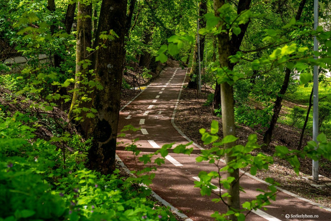 &bullet;  Fotó: Haáz Vince