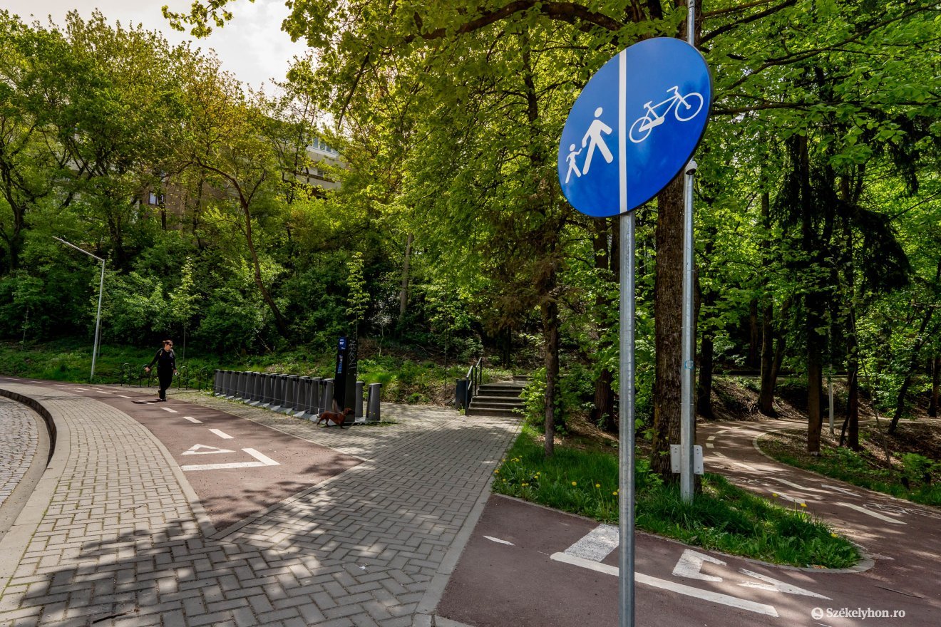 &bullet;  Fotó: Haáz Vince