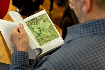 Szedni, szárítani, inni – útmutató a gyógynövényekhez