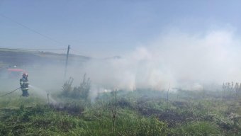Több helyen is lángra kapott a száraz aljnövényzet Maros megyében