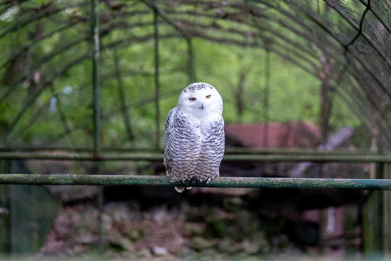 A biológusok tudják, de időnként nem árt felhívni rá a többiek figyelmét: óvjuk a környezetet!
