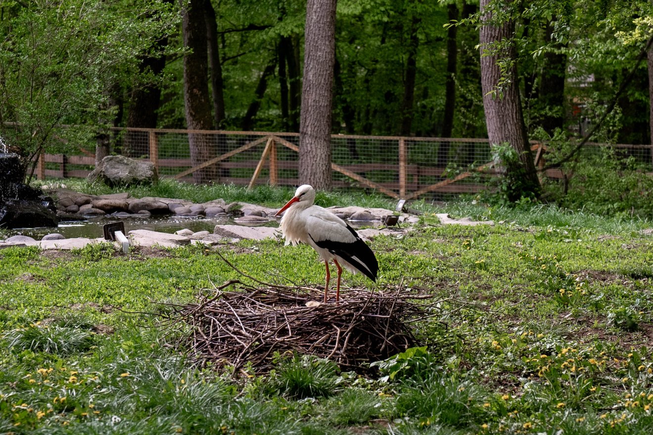 A biológusok tudják, de időnként nem árt felhívni rá a többiek figyelmét: óvjuk a környezetet!