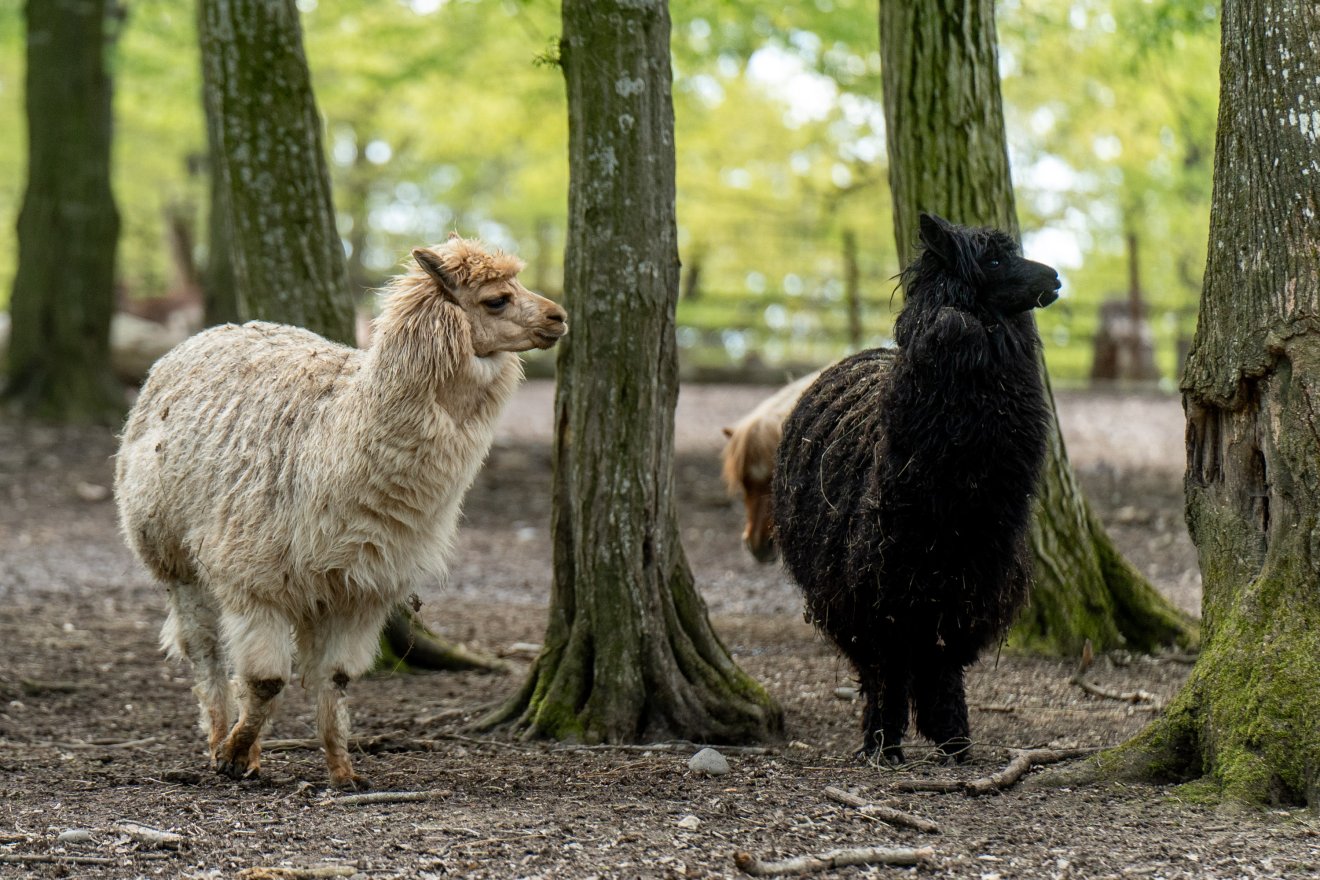 A biológusok tudják, de időnként nem árt felhívni rá a többiek figyelmét: óvjuk a környezetet!