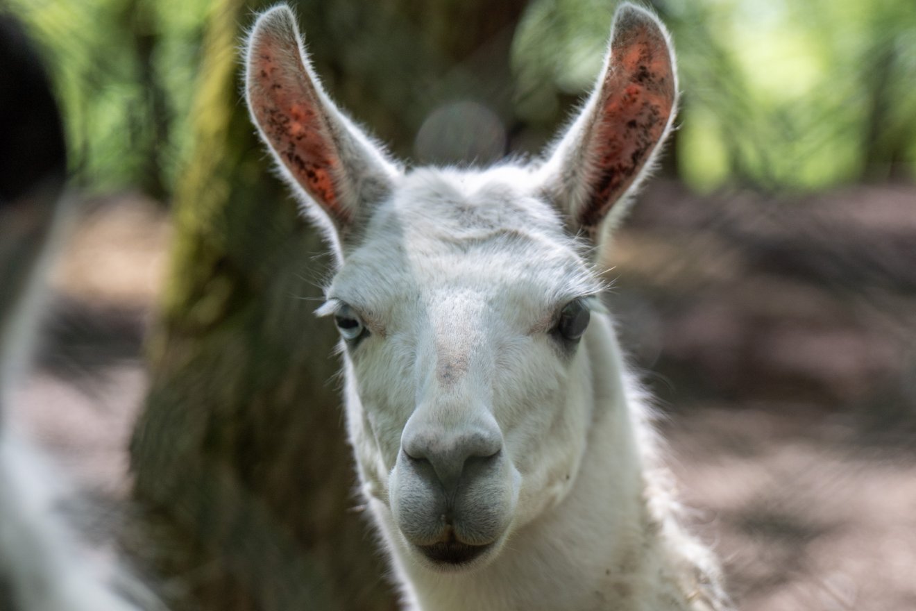 A biológusok tudják, de időnként nem árt felhívni rá a többiek figyelmét: óvjuk a környezetet!