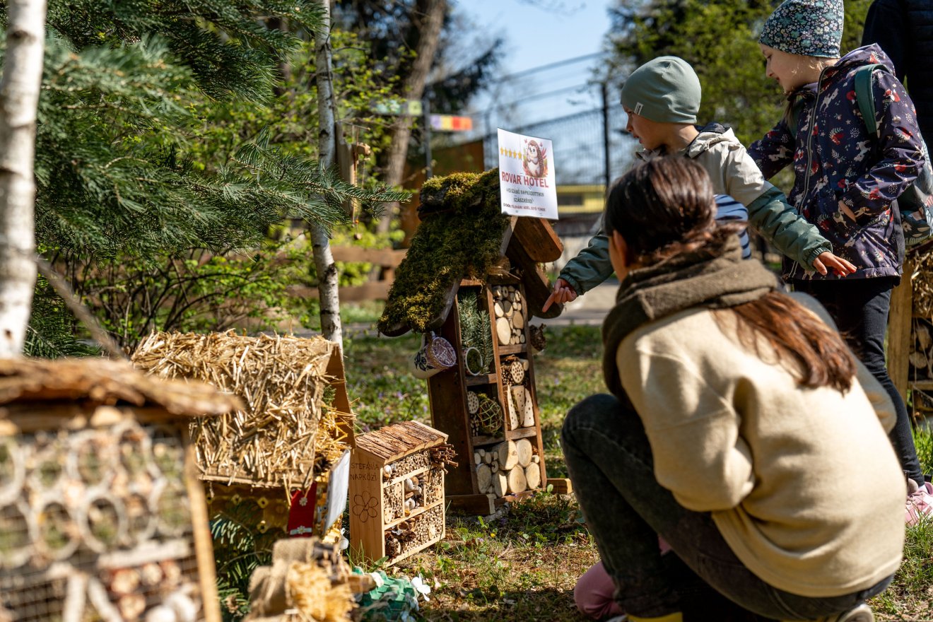 A legkisebbek védik a beporzókat – megyei szintre nőtt a marosvásárhelyi óvoda kezdeményezése