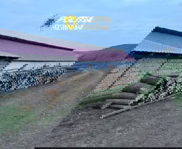 Makfalvi razzia: falopás gyanúja miatt hallgattak ki tizennyolc embert