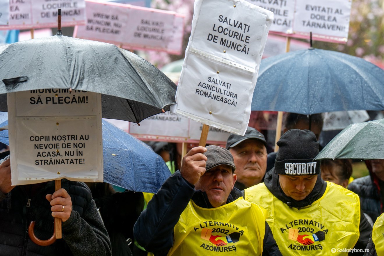 Január elejétől technikai munkanélküliek a kombinát alkalmazottai &bullet;  Fotó: Haáz Vince