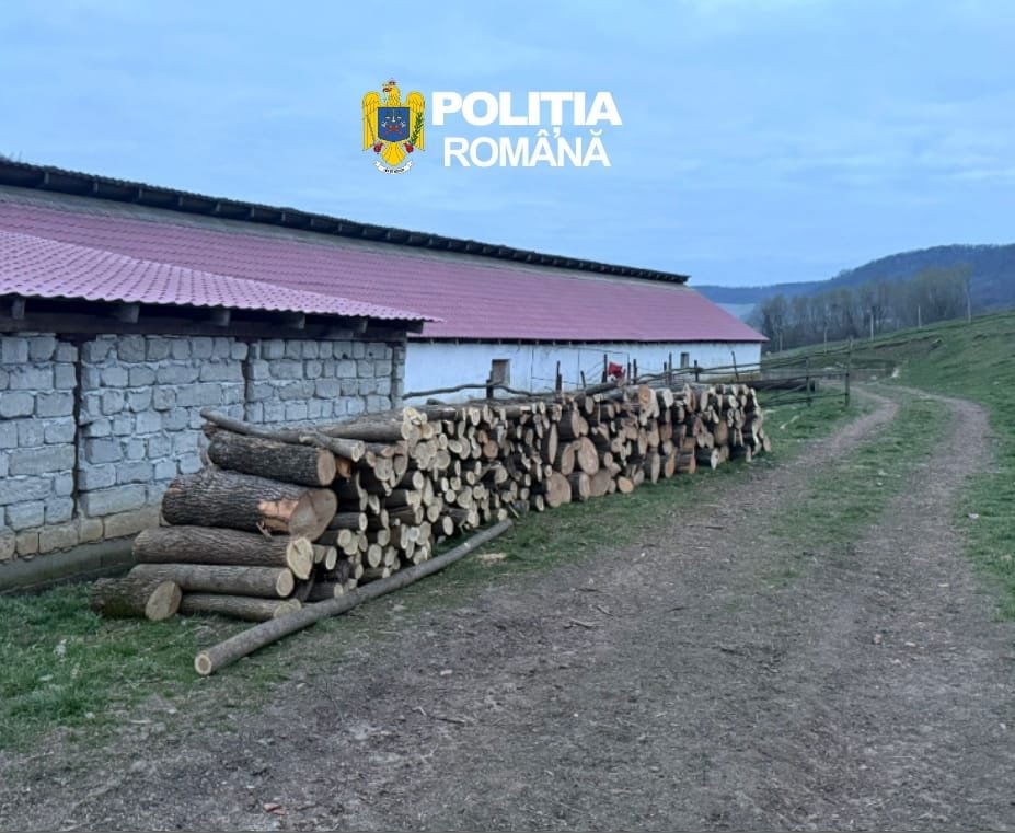 Elkobozták a hivatalos iratok nélküli faanyagot &bullet;  Fotó: Maros megyei rendőrség