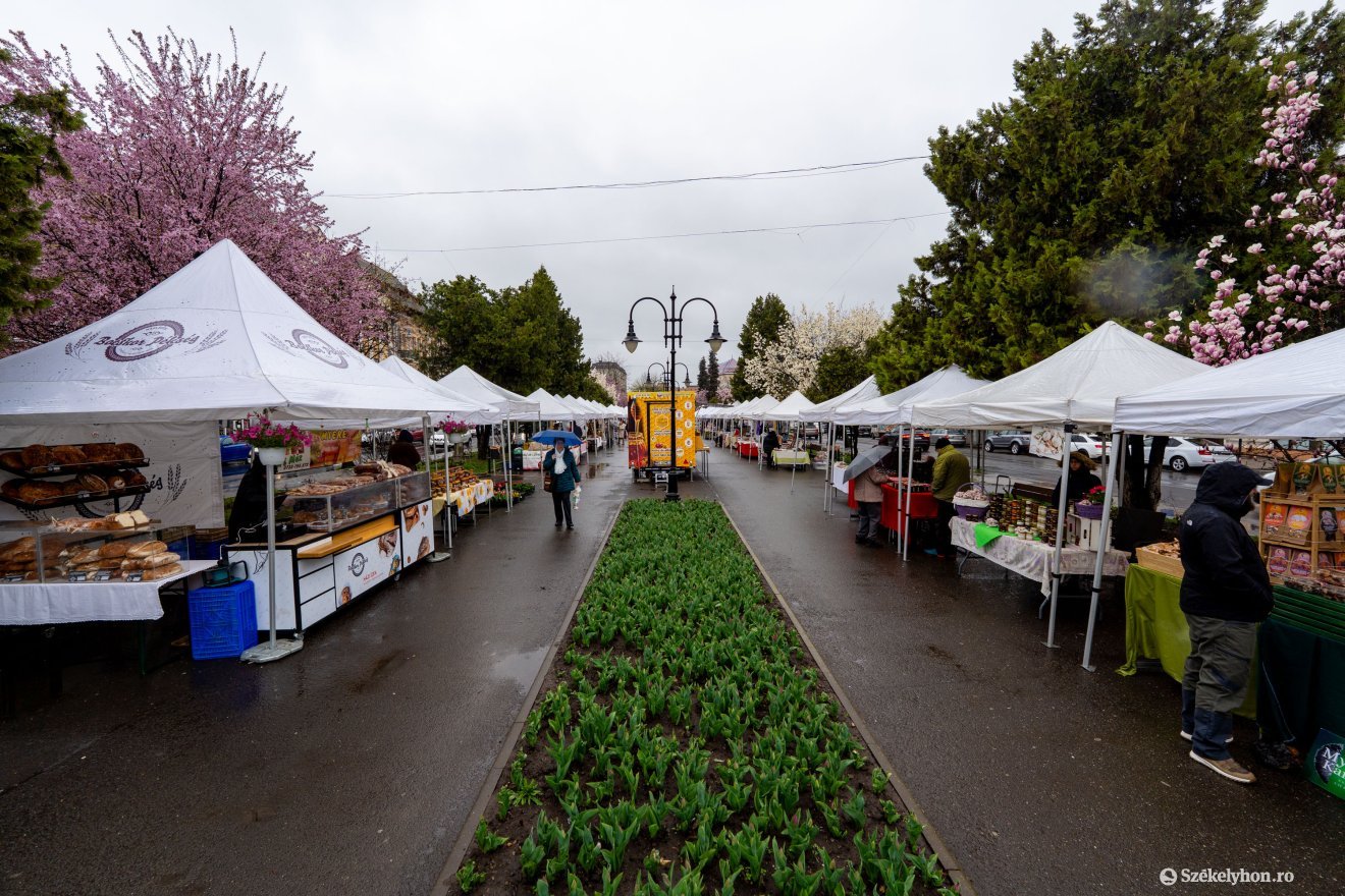 &bullet;  Fotó: Haáz Vince
