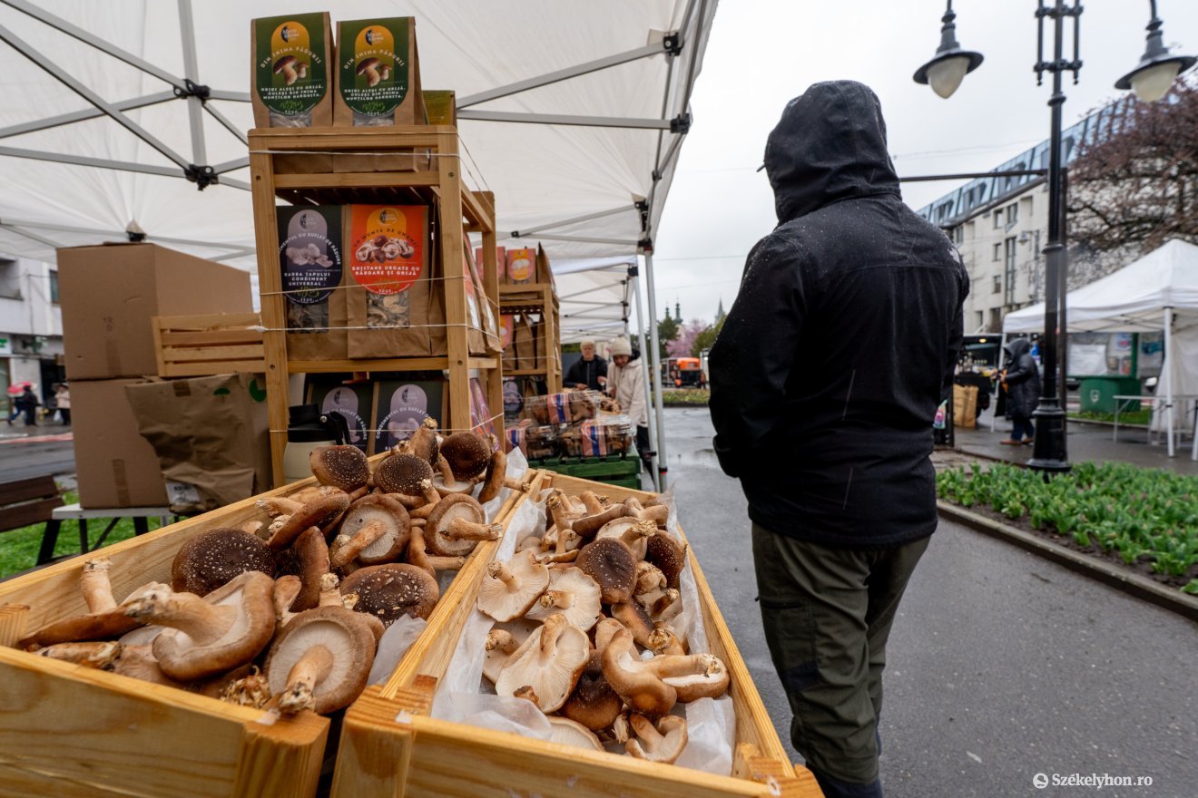 &bullet;  Fotó: Haáz Vince