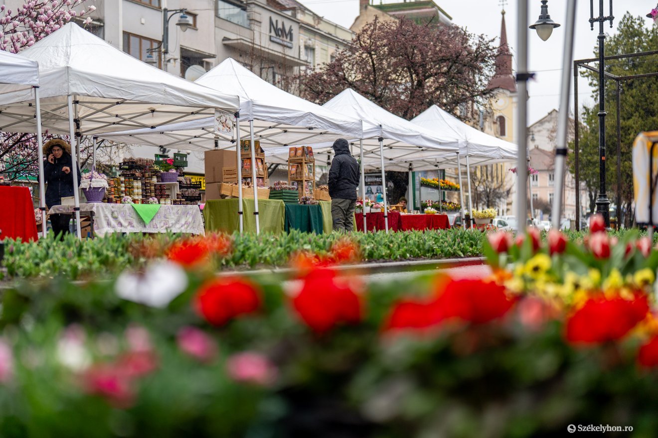 &bullet;  Fotó: Haáz Vince