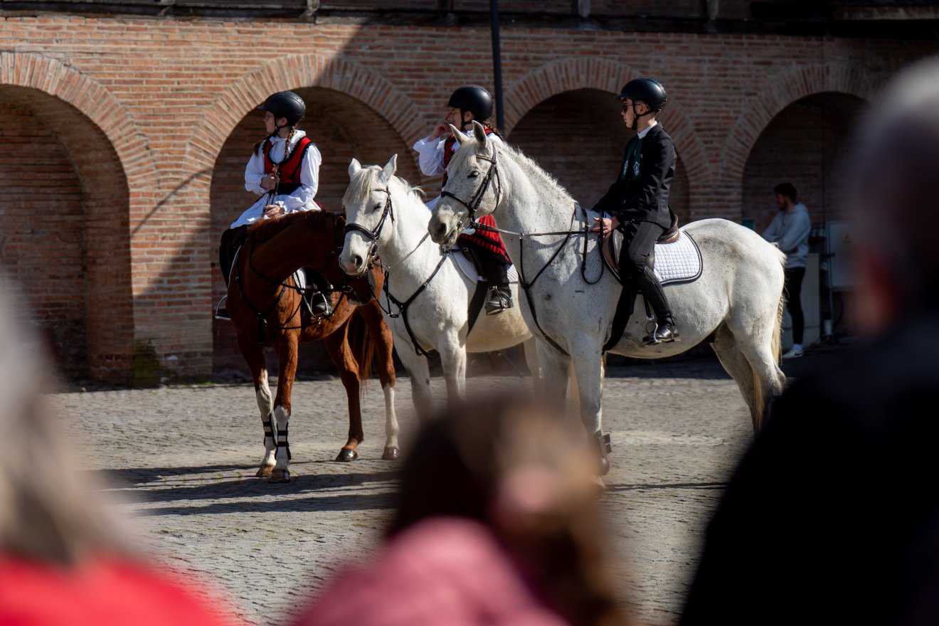 Vár, Marosvásárhely &bullet;  Fotó: Haáz Vince