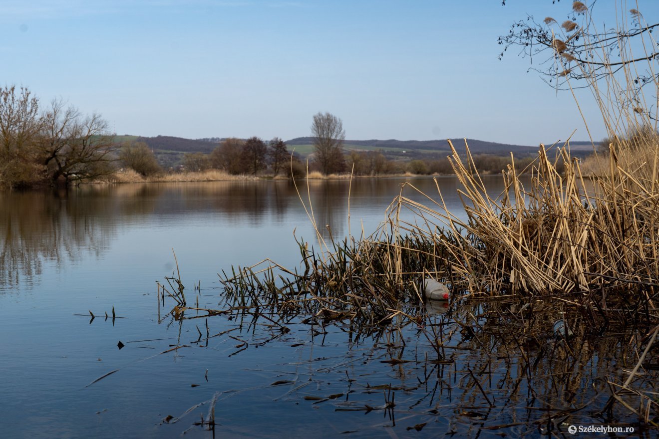 Képünk illusztráció &bullet;  Fotó: Haáz Vince