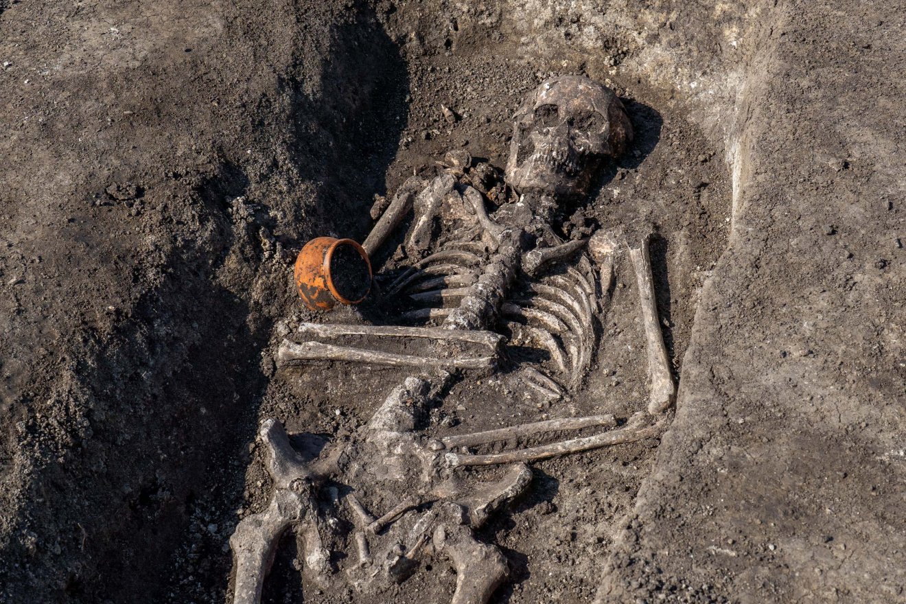 A múzeumba viszik a csontvázakat &bullet;  Fotó: Haáz Vince